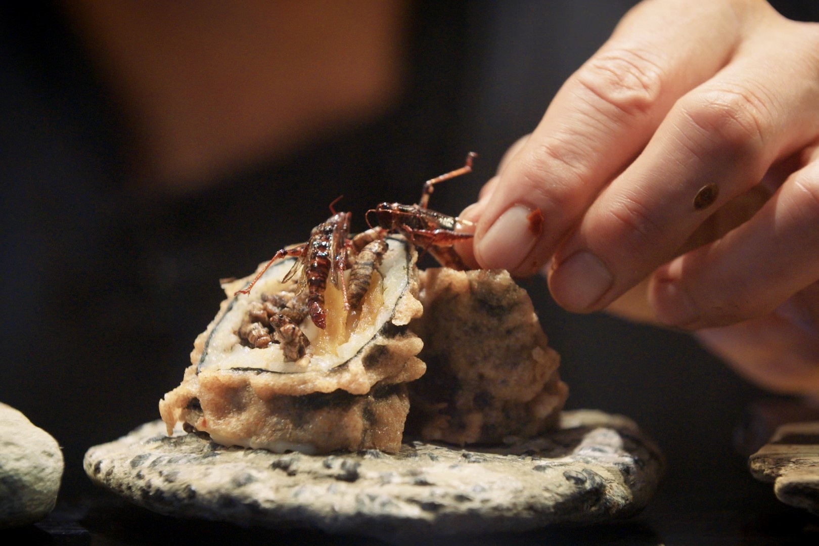 Nha hang ban sushi con trung va oc hinh anh