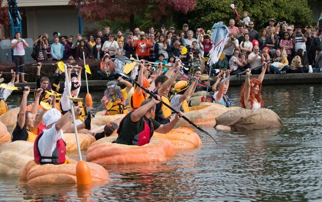 Cuoc dua thuyen bi ngo o Duc hinh anh