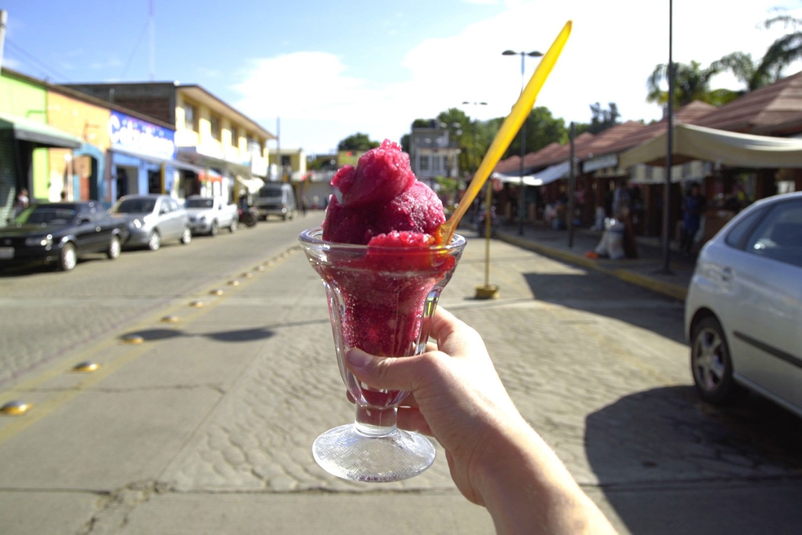 Kem duoc lam tu qua cua cay xuong rong hinh anh