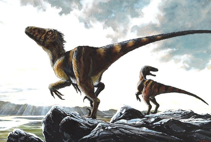 Phuong phap san moi giup khung long tien hoa thanh chim hinh anh