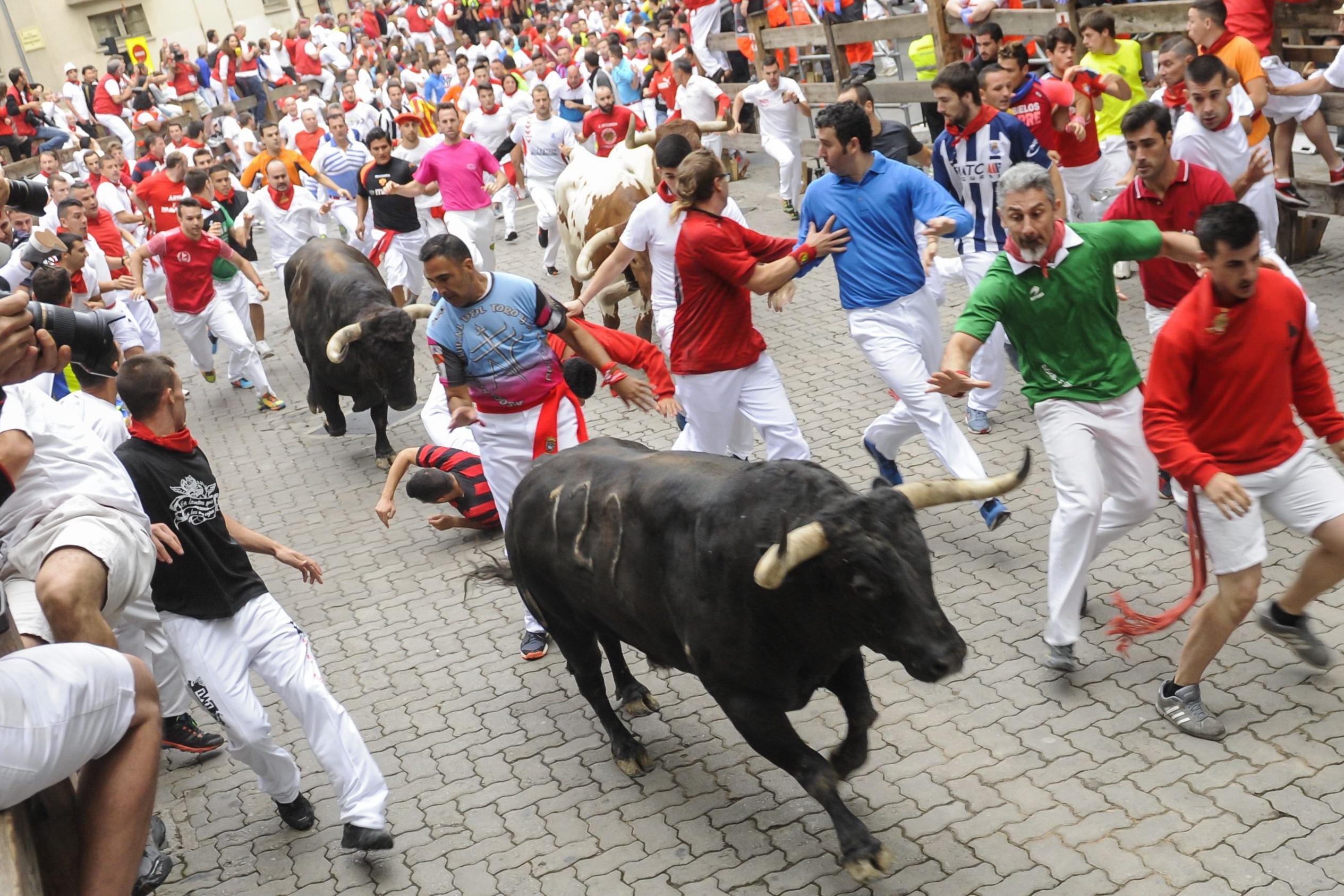 Hang nghin nguoi tham gia le hoi duoi bo hinh anh