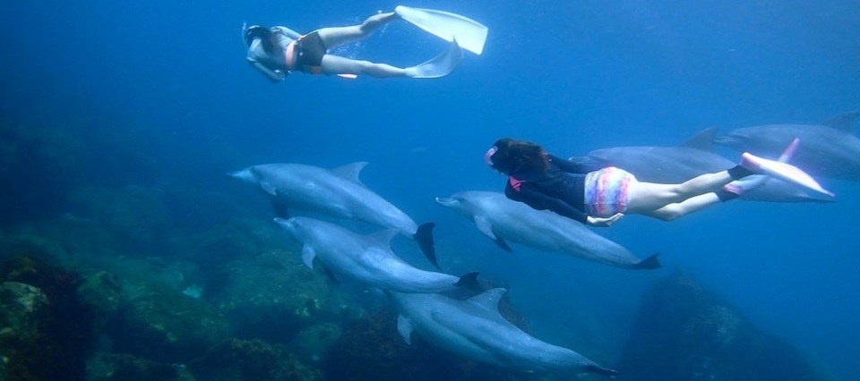 Hòn đảo Miyakejima ảnh 11 Hon dao Miyakejima anh 11