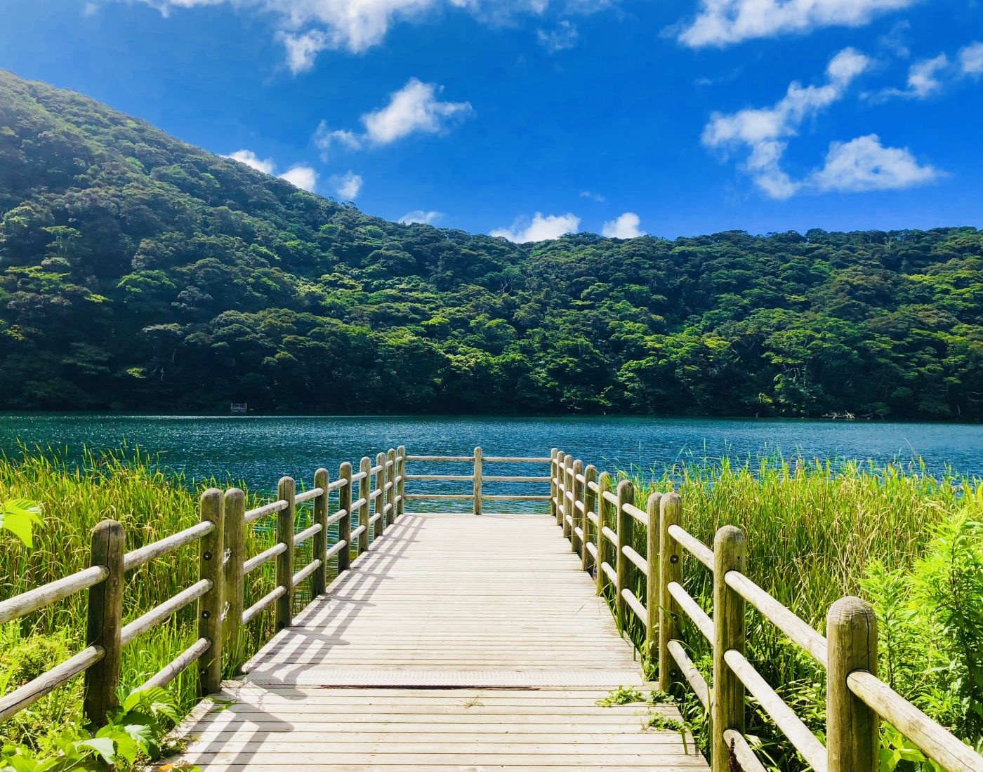 Hòn đảo Miyakejima ảnh 5 Hon dao Miyakejima anh 5