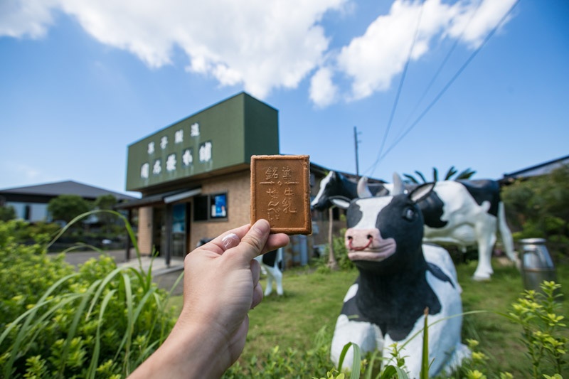 Hòn đảo Miyakejima ảnh 10 Hon dao Miyakejima anh 10