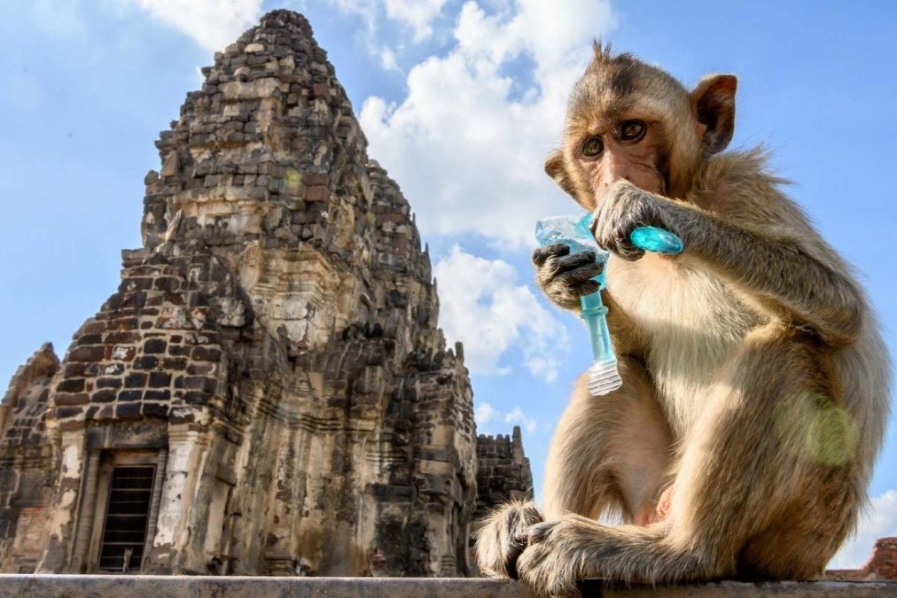 Nguoi dan song trong long do khi chiem thanh pho o Thai Lan hinh anh