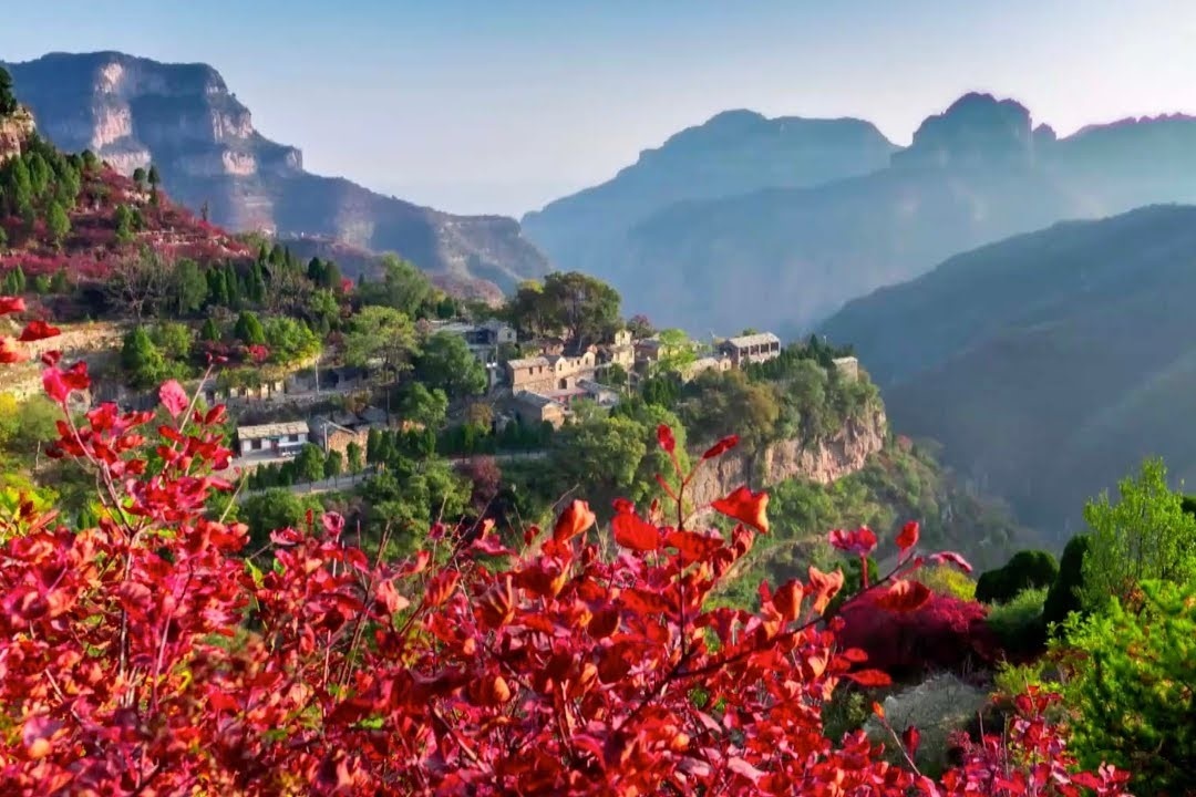 Thai Hanh Son duoc bao phu boi nhung tan la mua thu hinh anh