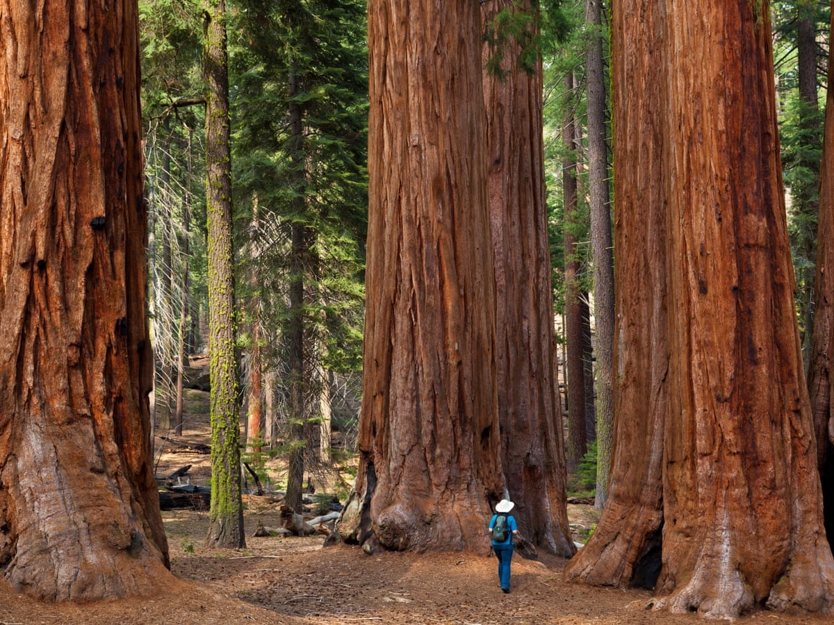 Dai thu Trai Dat dang chet dan anh 12