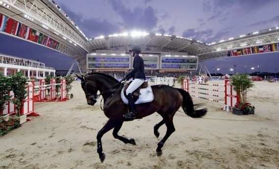 Khach san 5 sao danh cho ngua duy nhat tren the gioi hinh anh