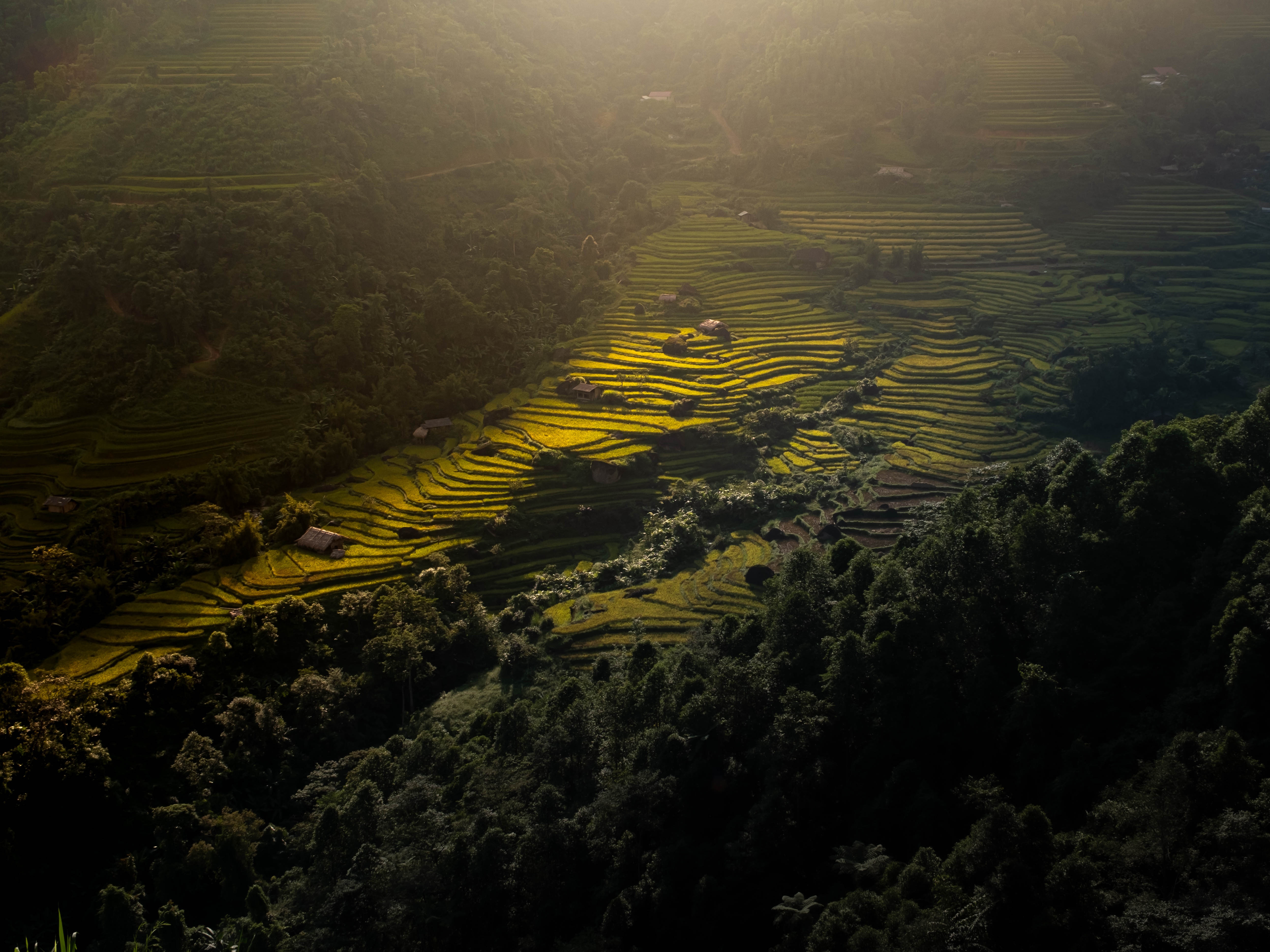 Chinh phục đỉnh Hoàng Su Phì ảnh 2 Chinh phuc dinh Hoang Su Phi anh 2