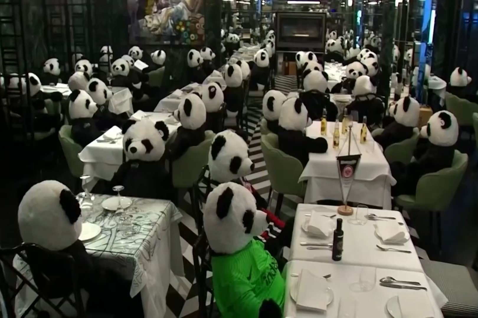 Nha hang thay the khach bang hang tram gau truc bong hinh anh