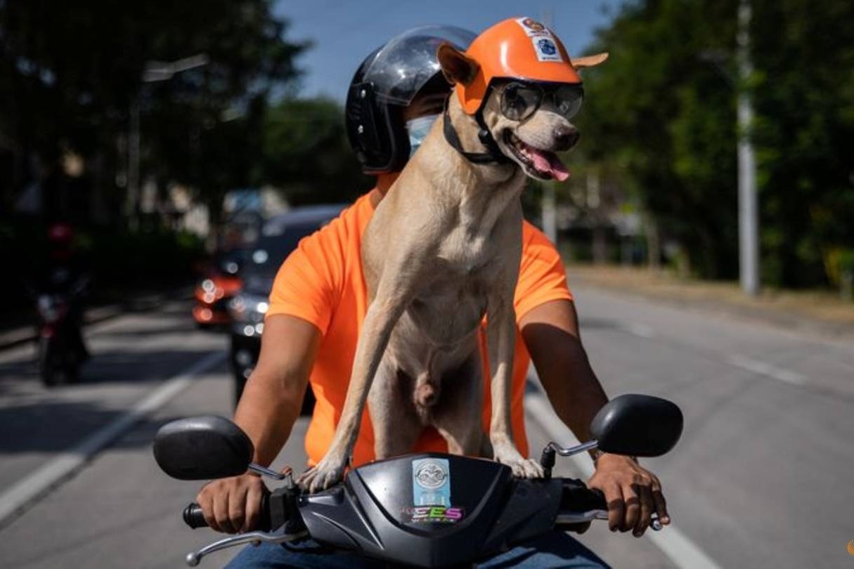 Cho di vong quanh Philippines bang xe may cung chu hinh anh