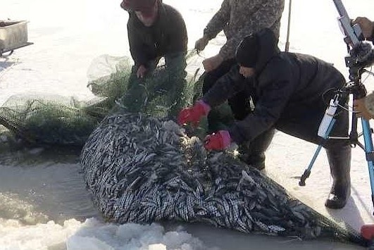 Ngu dan Trung Quoc bat hon nua tan ca tren song bang hinh anh