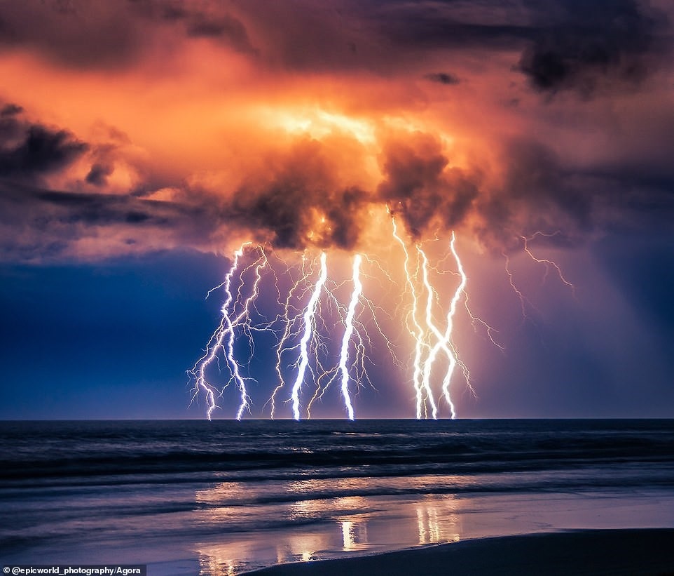 Cuoc thi anh tot nhat 2020 anh 2