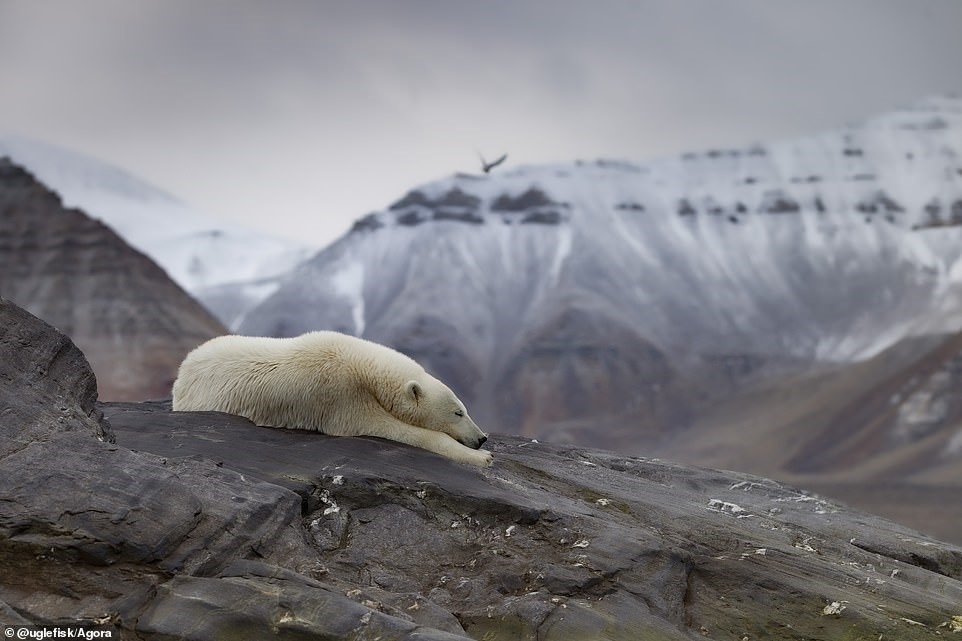 Cuoc thi anh tot nhat 2020 anh 4