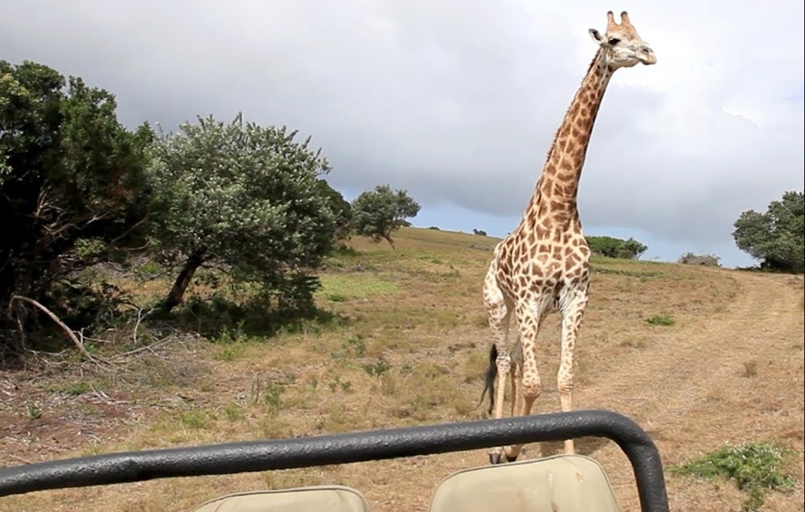 Huou cao co tan cong doan xe cho khach hinh anh