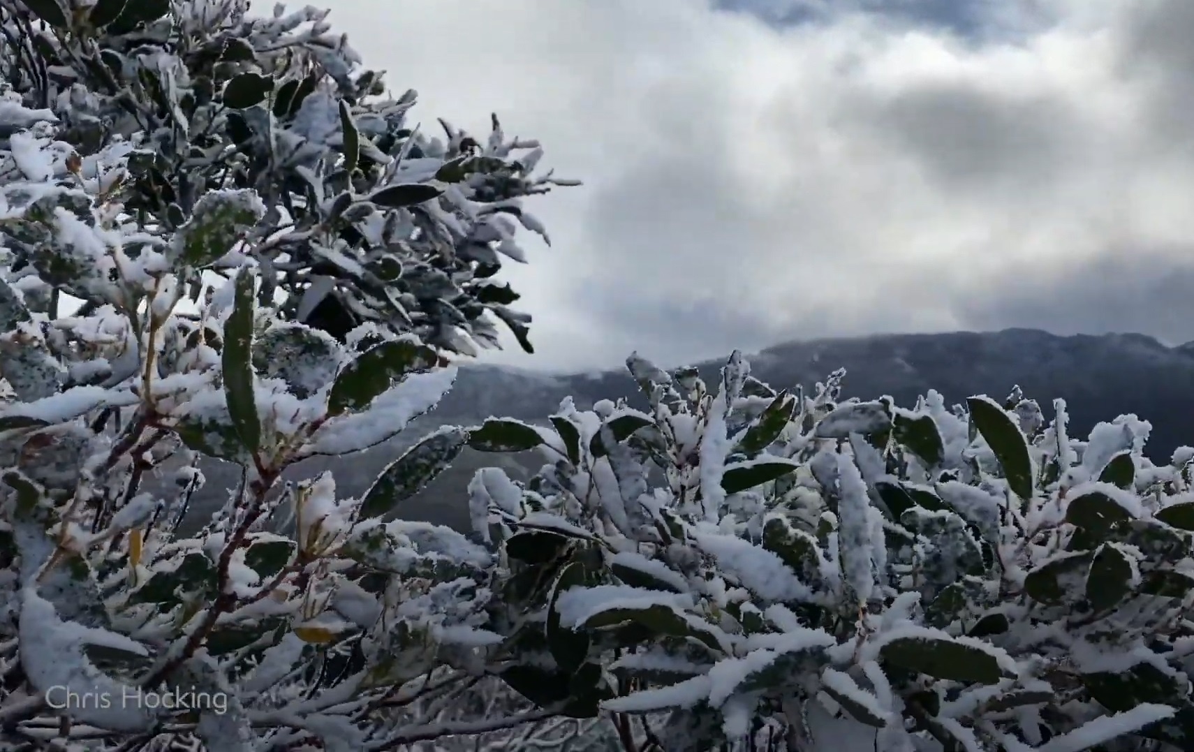 Tuyet roi bat thuong vao mua he o Australia hinh anh