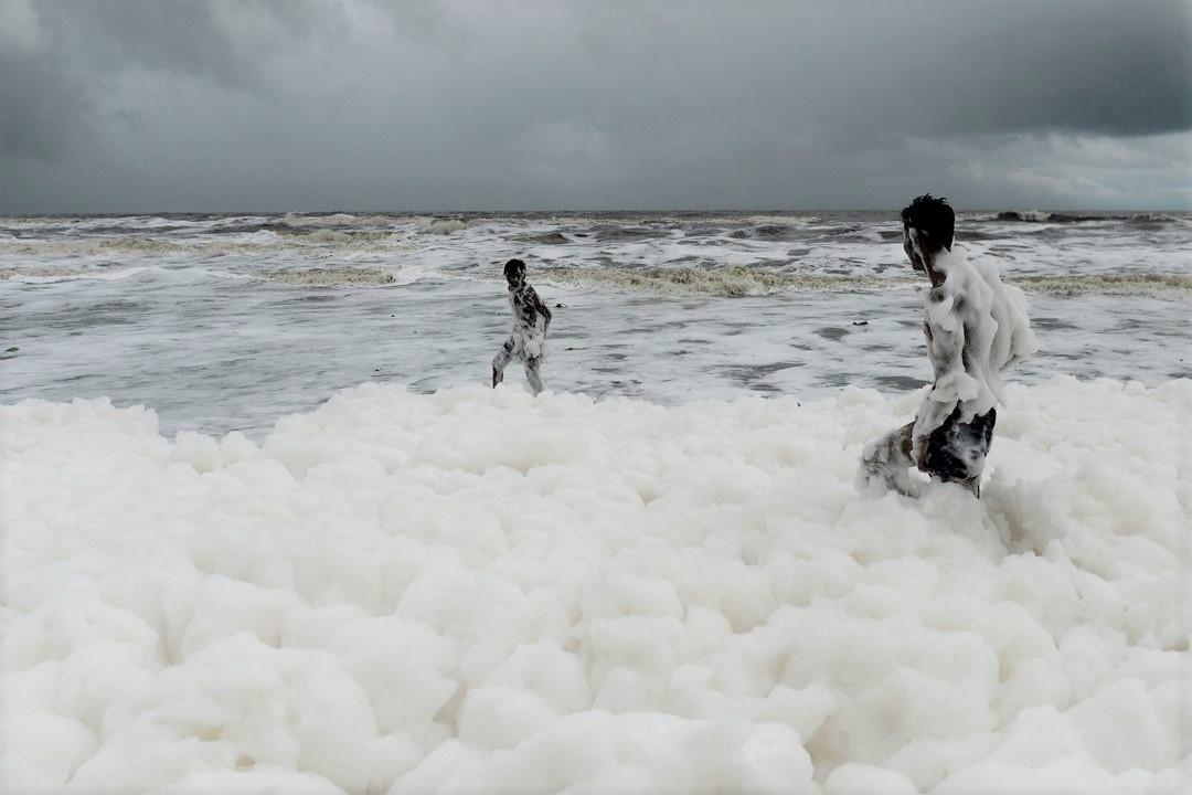 Bot phu kin bo bien o Australia hinh anh