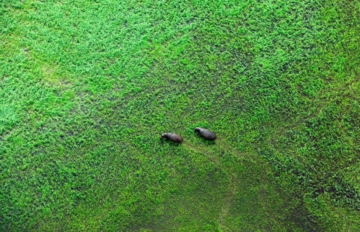 Anh chup Trai Dat dep nhat tren khong anh 7