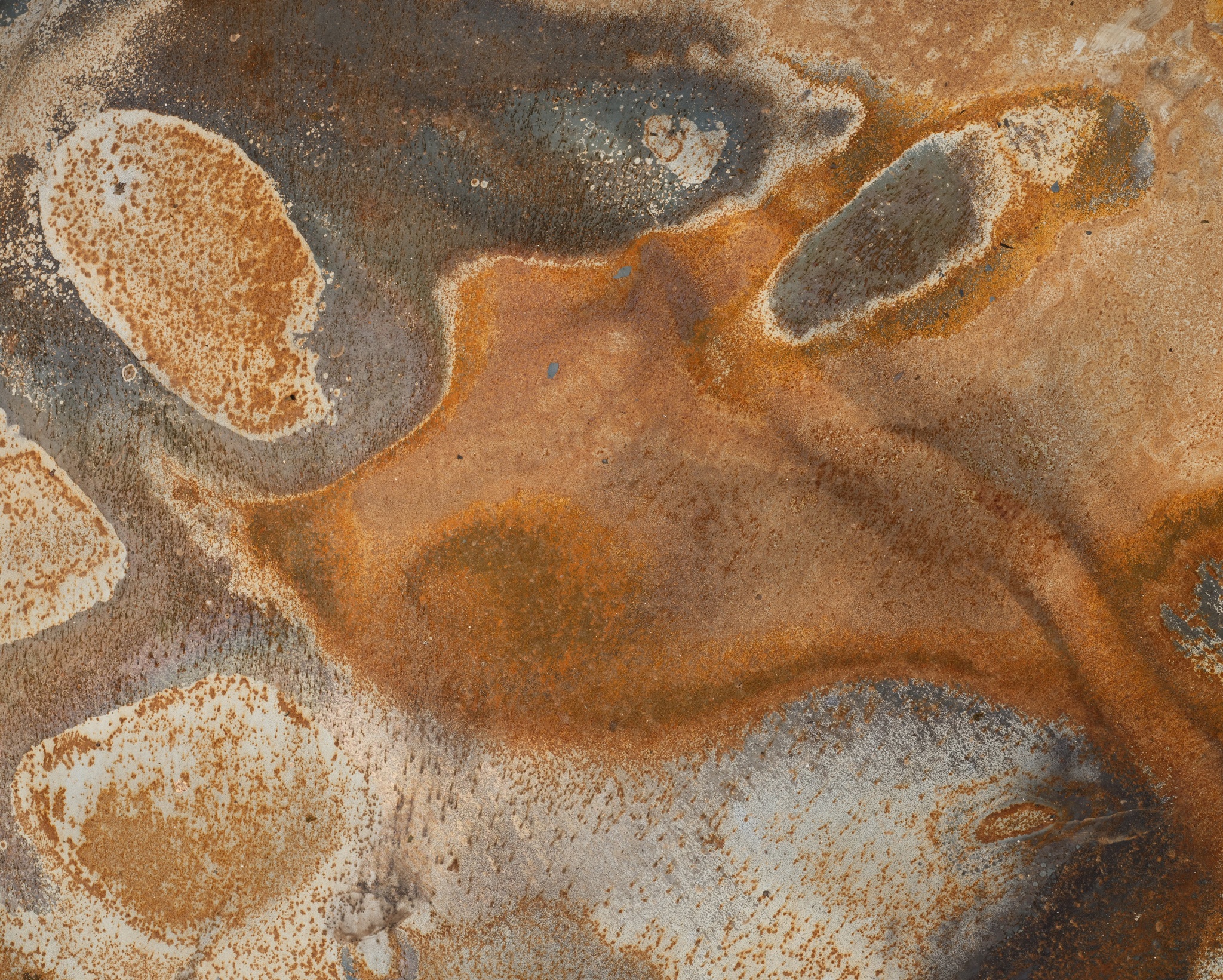 Cháy rừng Australia ảnh 3 Chay rung Australia anh 3