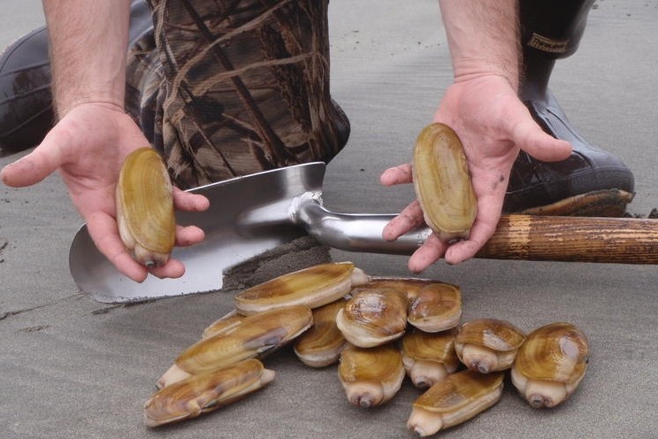 Oc mong tay khan hang truoc Tet o Trung Quoc hinh anh