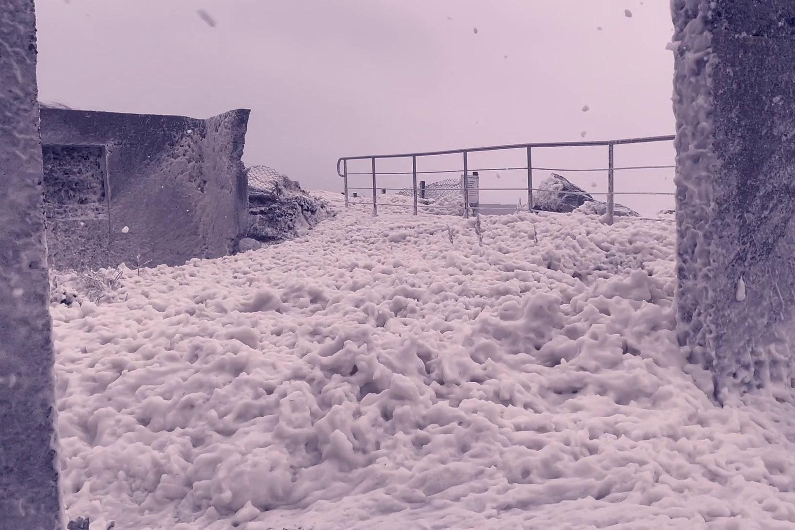 Bot bien bao phu ngoi lang o Ireland hinh anh