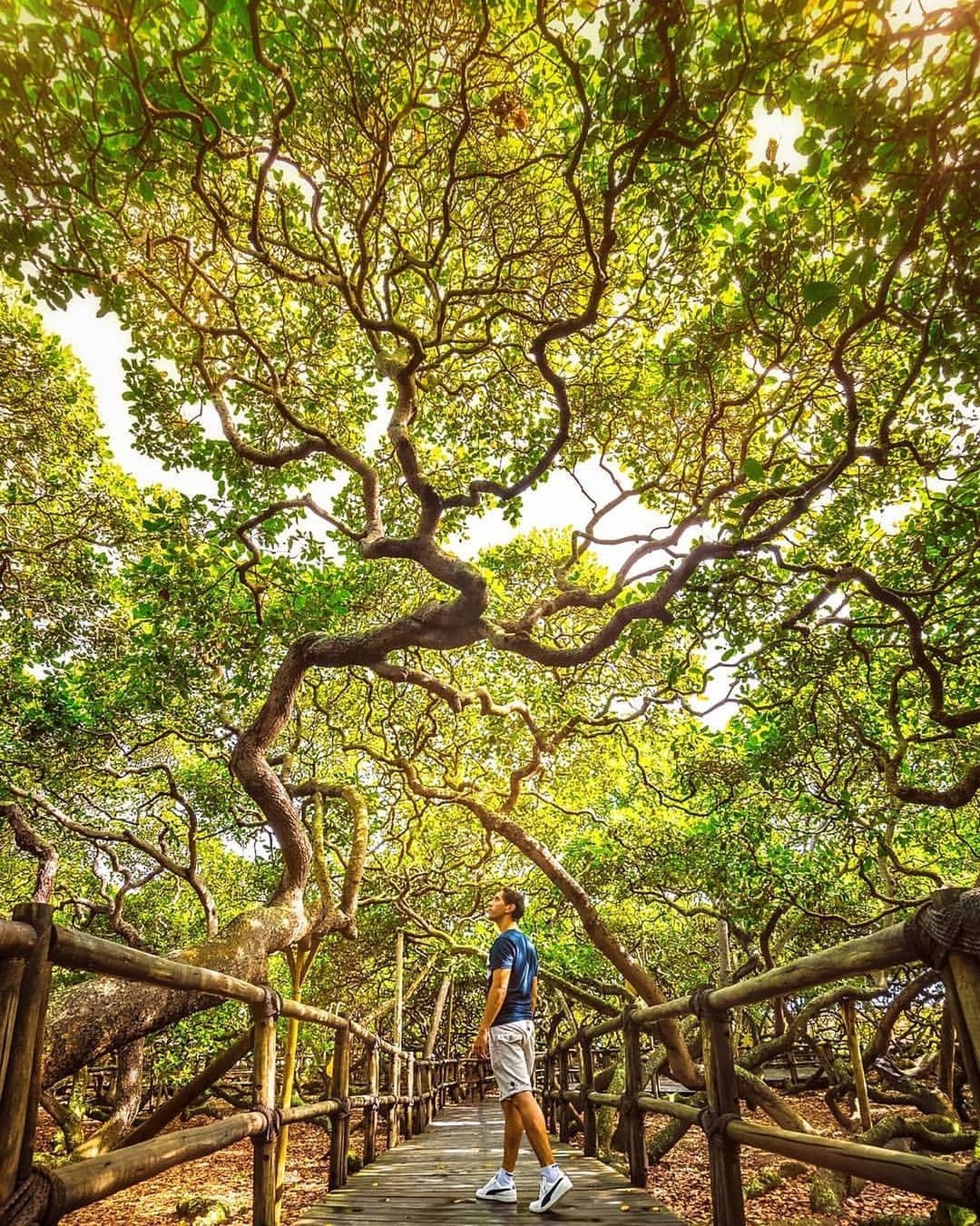 Du lich Brazil anh 1