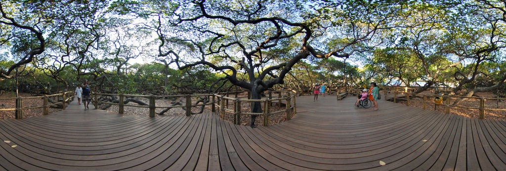 Du lich Brazil anh 3