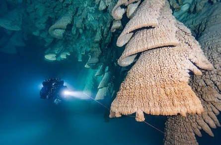 Chuong dia nguc trong hang dong duoi nuoc hinh anh