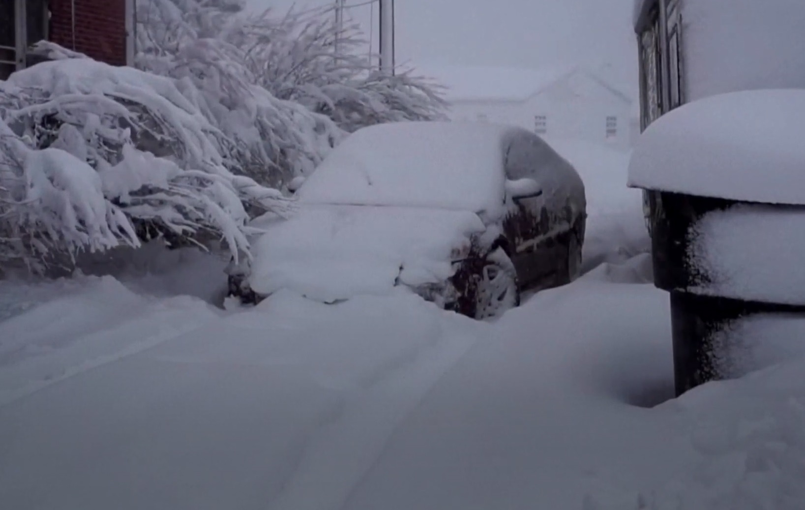 Con bao tuyet tan cong mien Tay nuoc My hinh anh