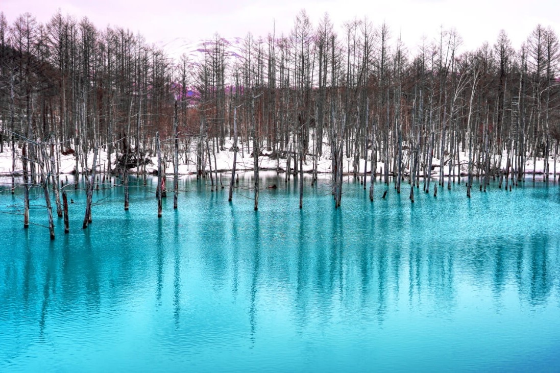 Ho nuoc nhan tao mau xanh ngoc o Nhat Ban hinh anh