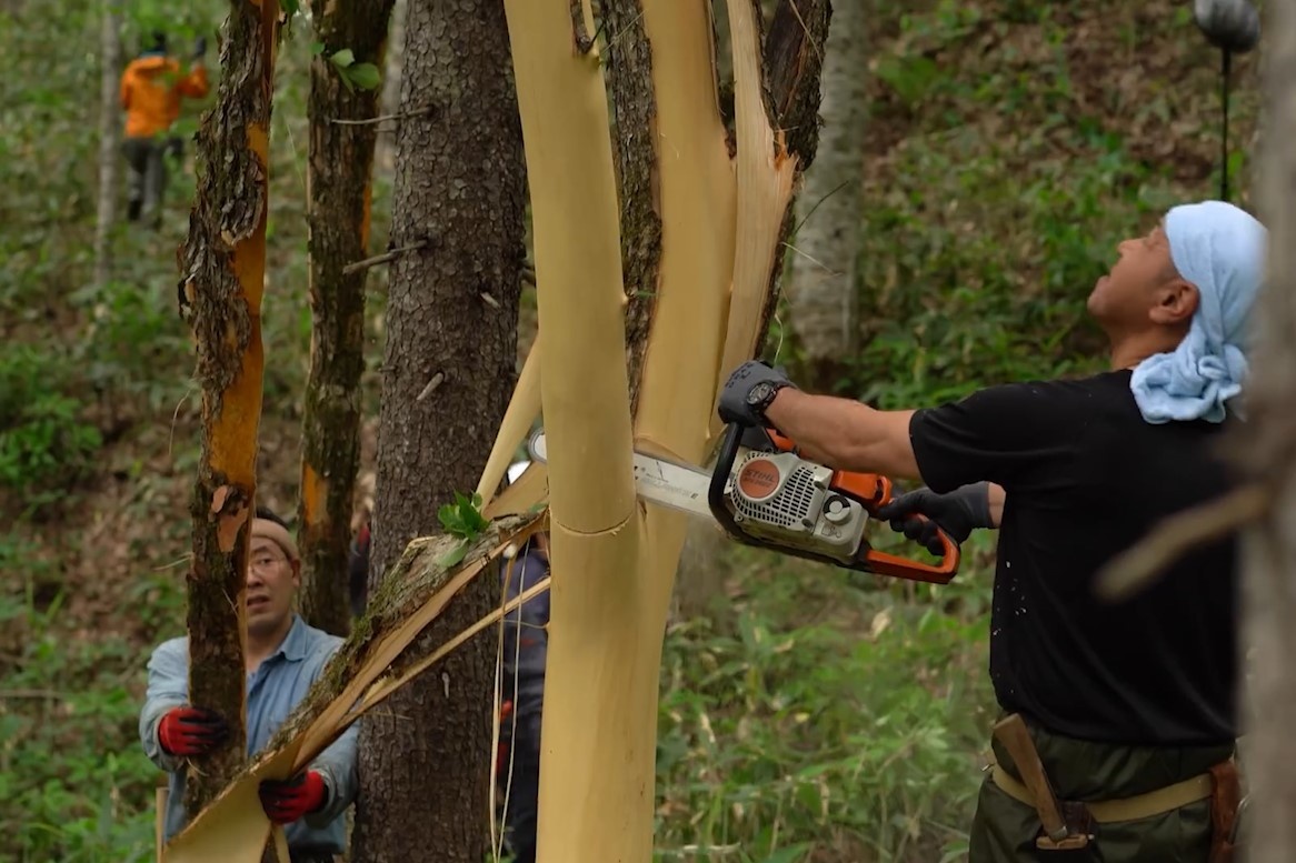 Toc nguoi o Nhat lot vo cay det quan ao hinh anh