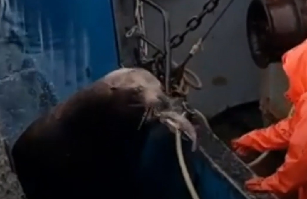 Su tu bien khong lo ap sat thuyen xin ca ngu dan hinh anh