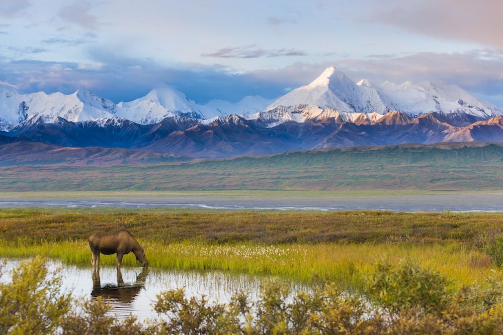 Tuyet tac sap bien mat cua tao hoa anh 8