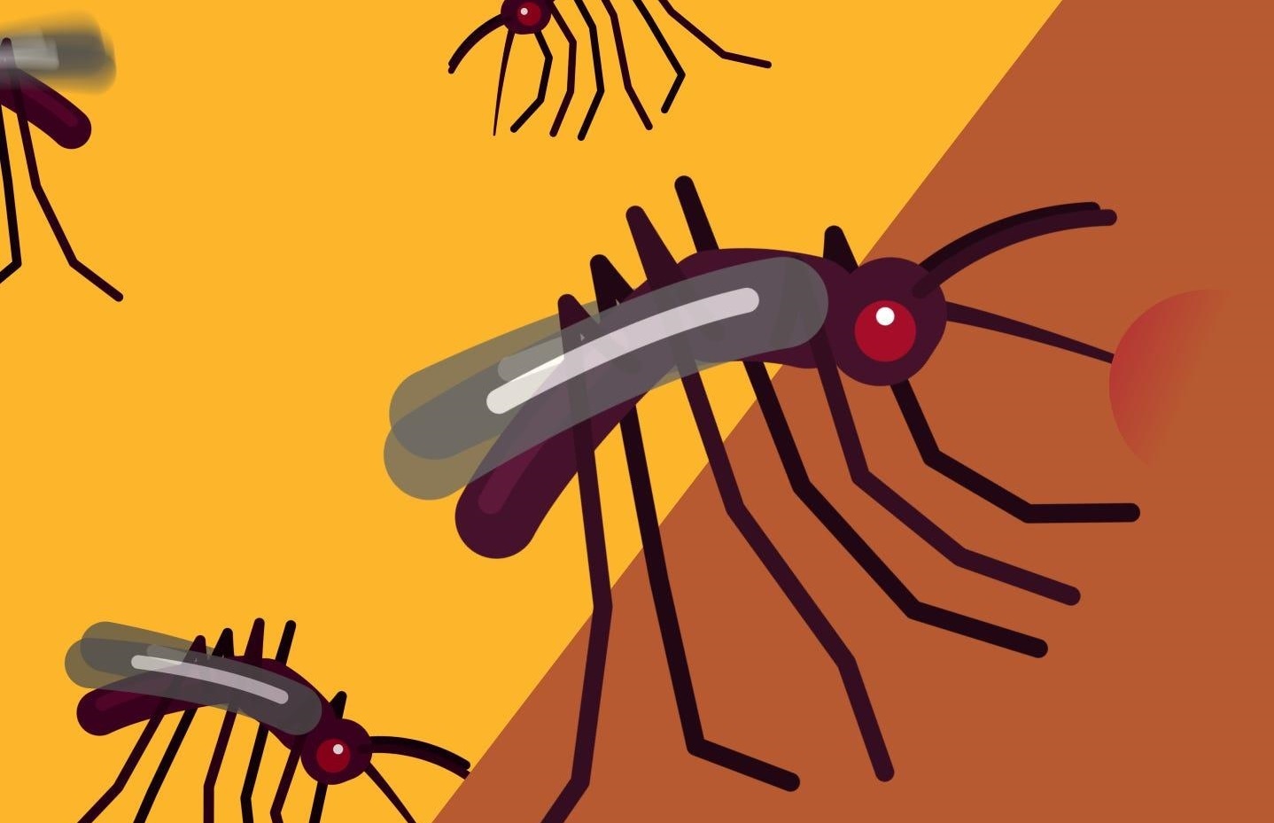 Dieu gi se xay ra neu tat ca con trung bien mat? hinh anh