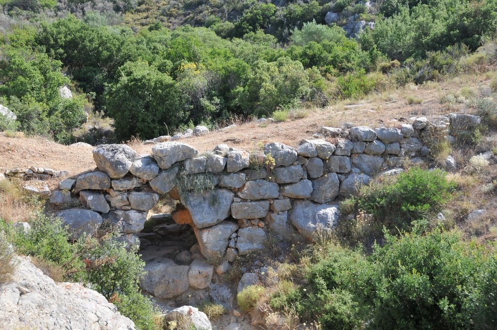 Cau dai nhat the gioi anh 3