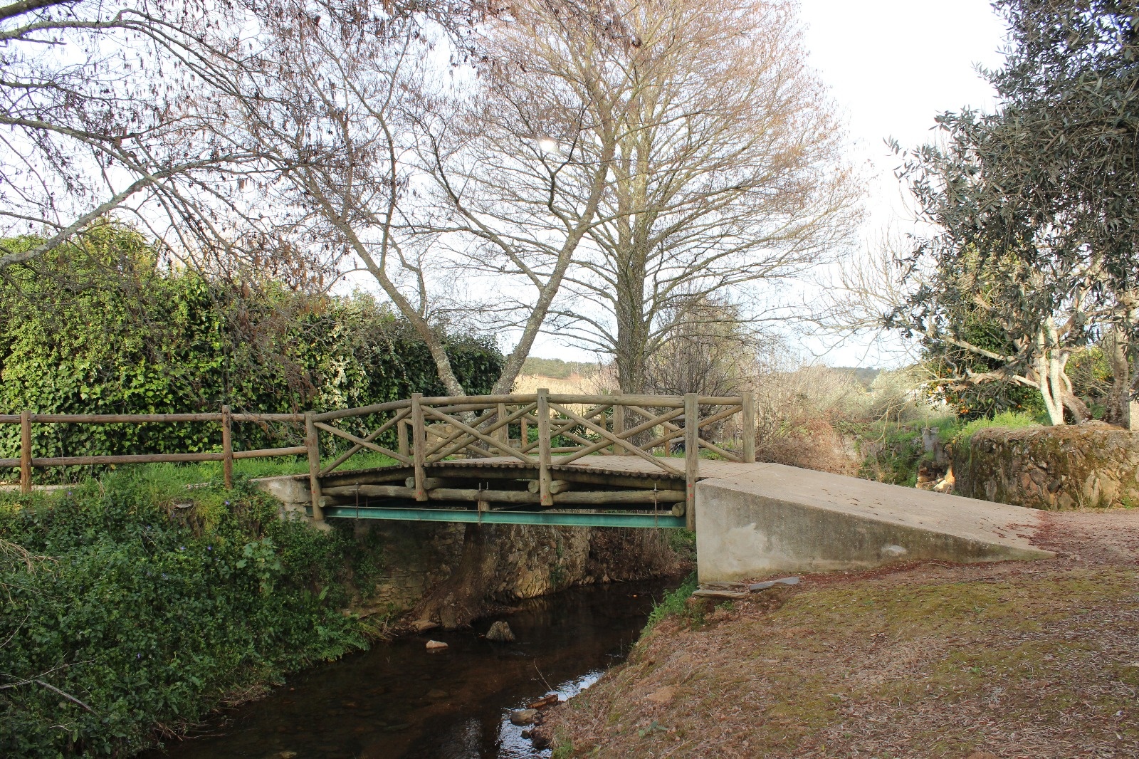 Cau dai nhat the gioi anh 6