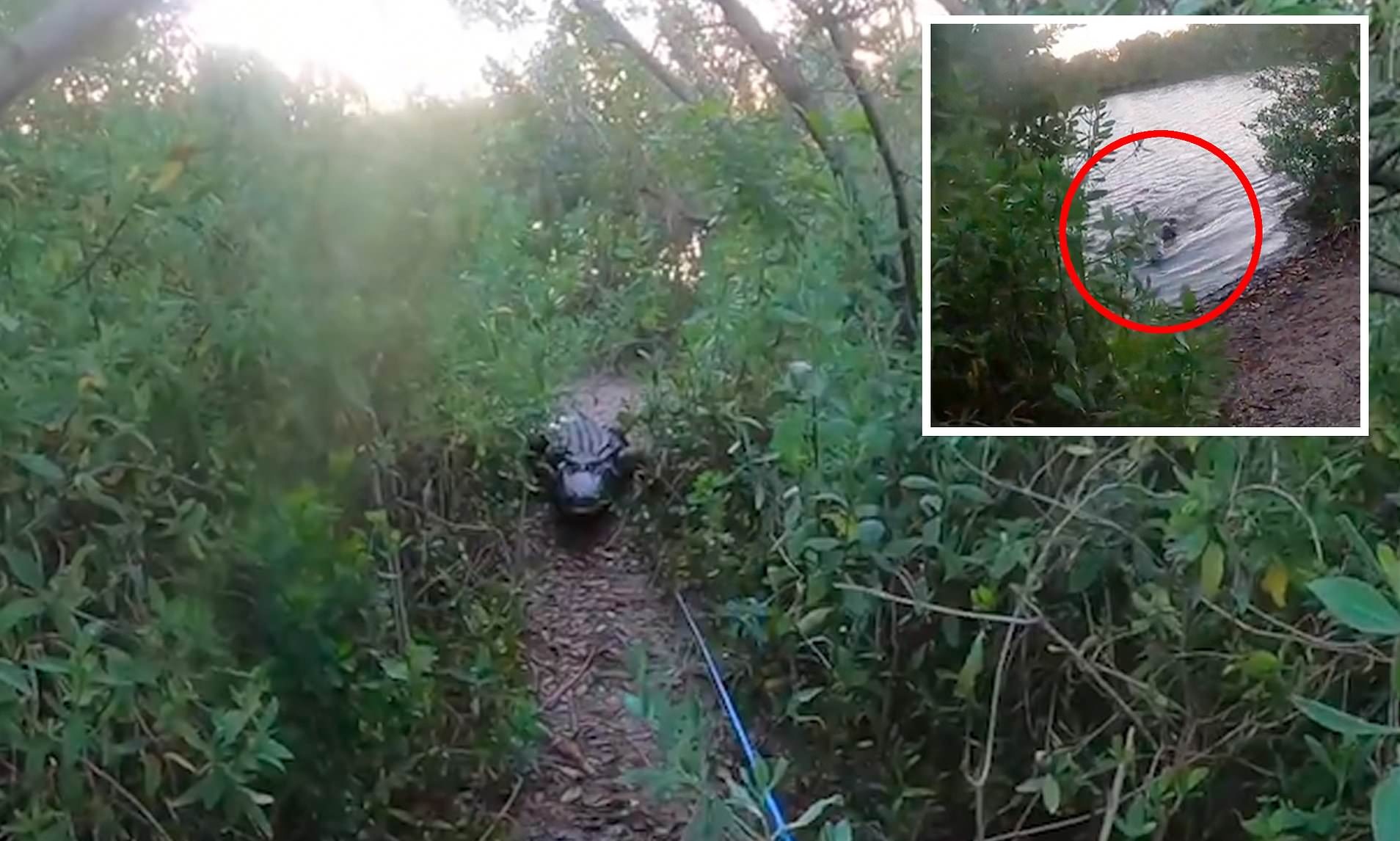 Bi ca sau tan cong khi dang cau ca o My hinh anh