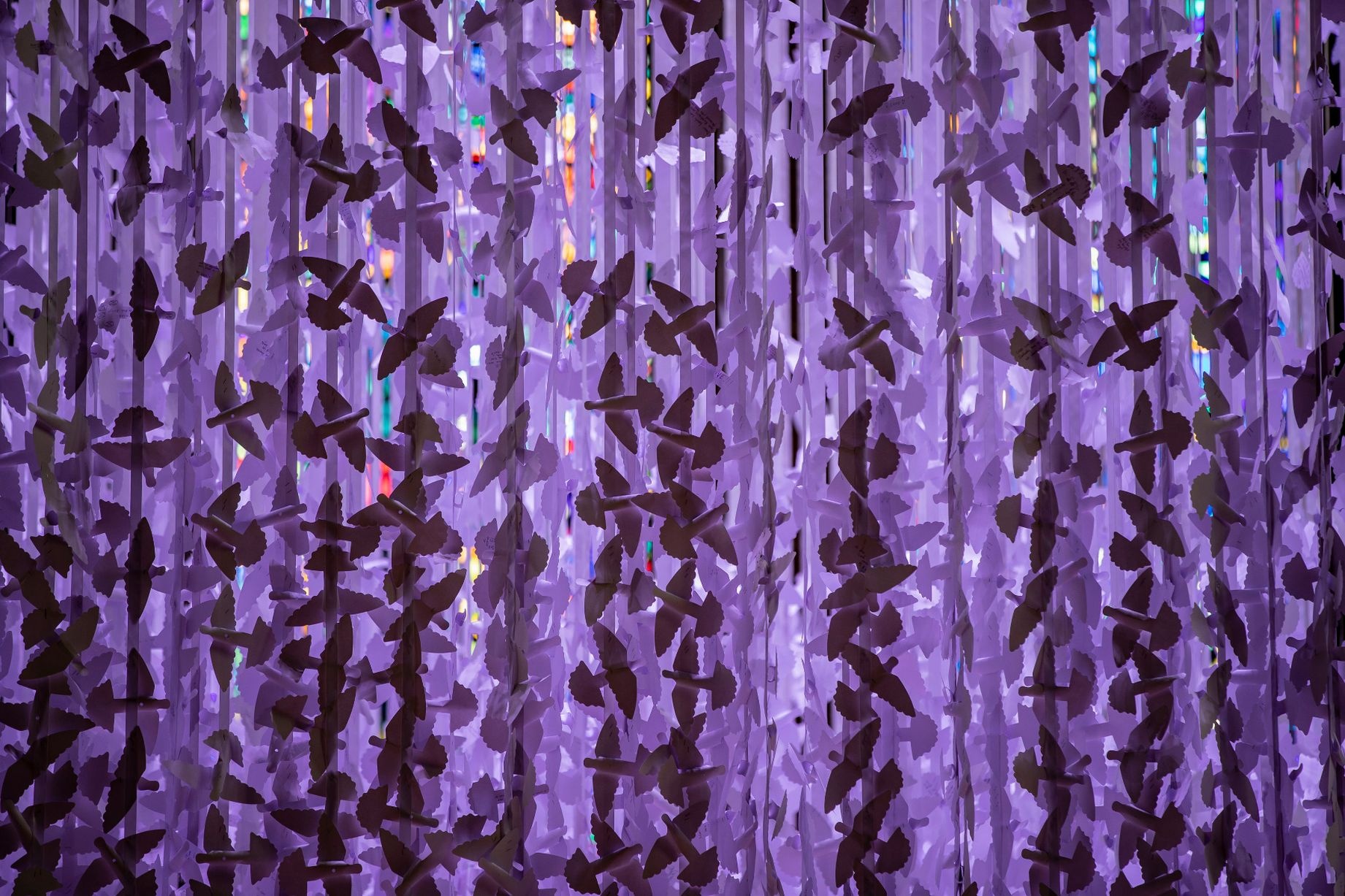 Tac pham nghe thuat tu 15.000 con chim giay o Anh hinh anh