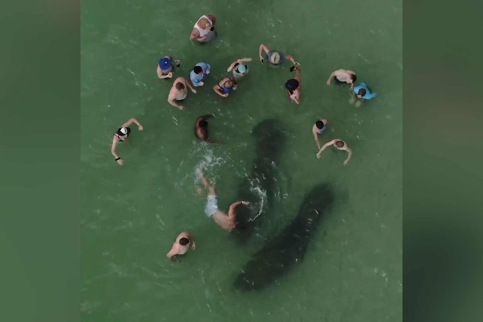 Du khach choc pha lon bien o My hinh anh