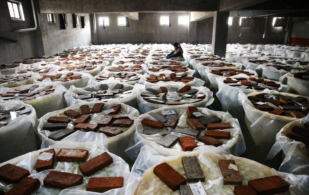 Trung vit muoi hai long do anh 3