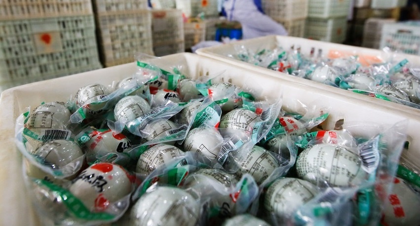 Trung vit muoi hai long do anh 6