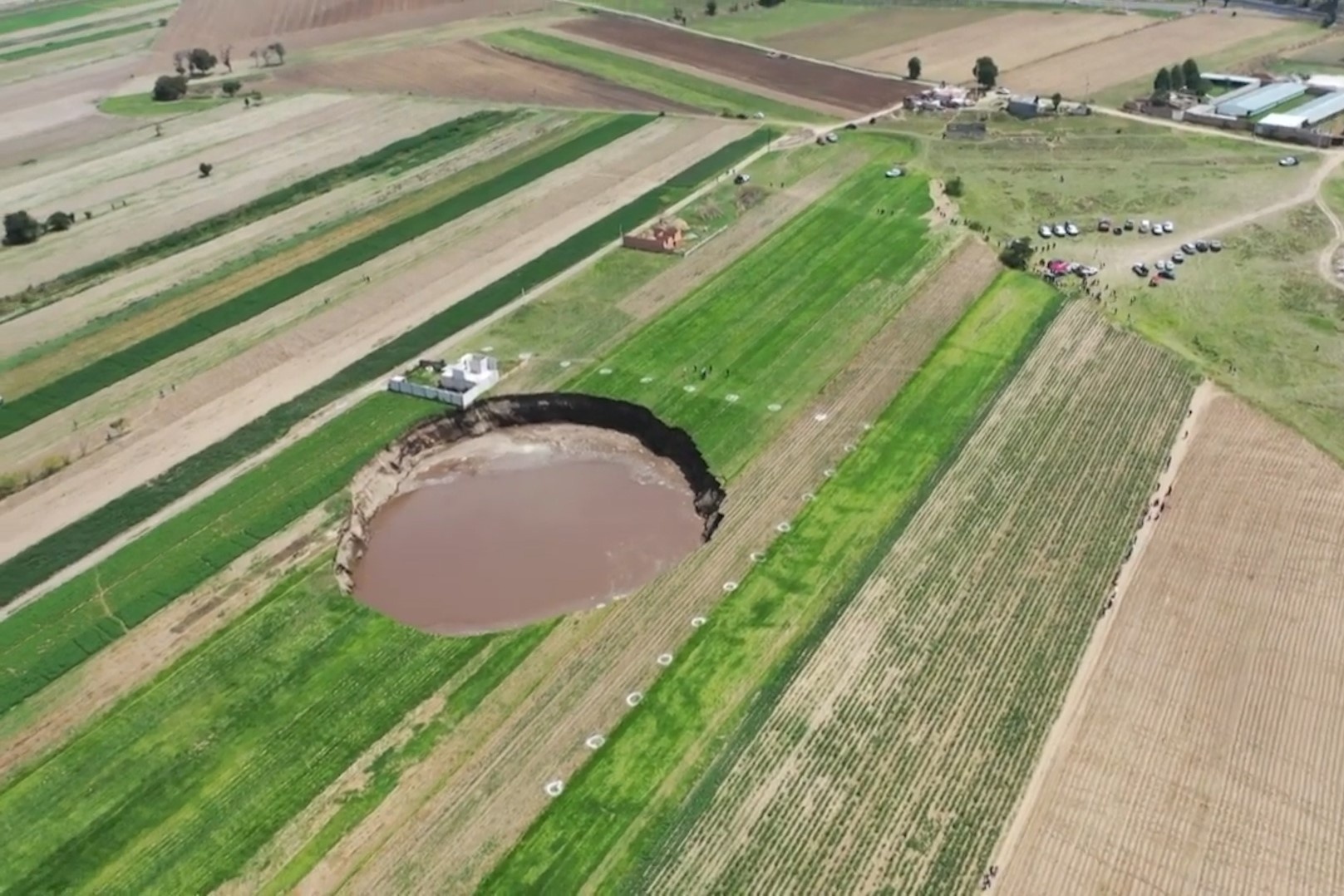 Ho sut khong lo xuat hien o Mexico hinh anh