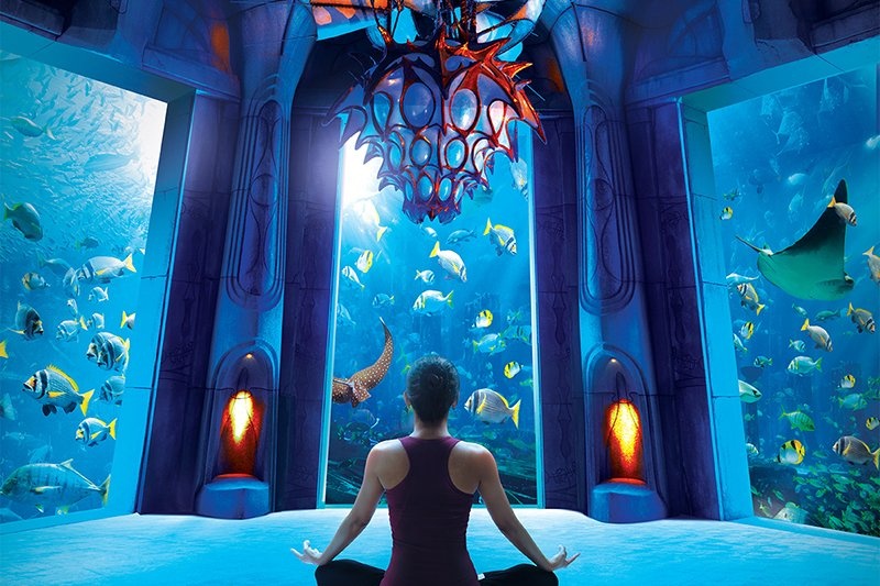 5 khach san hang sang nam duoi mat nuoc bien hinh anh