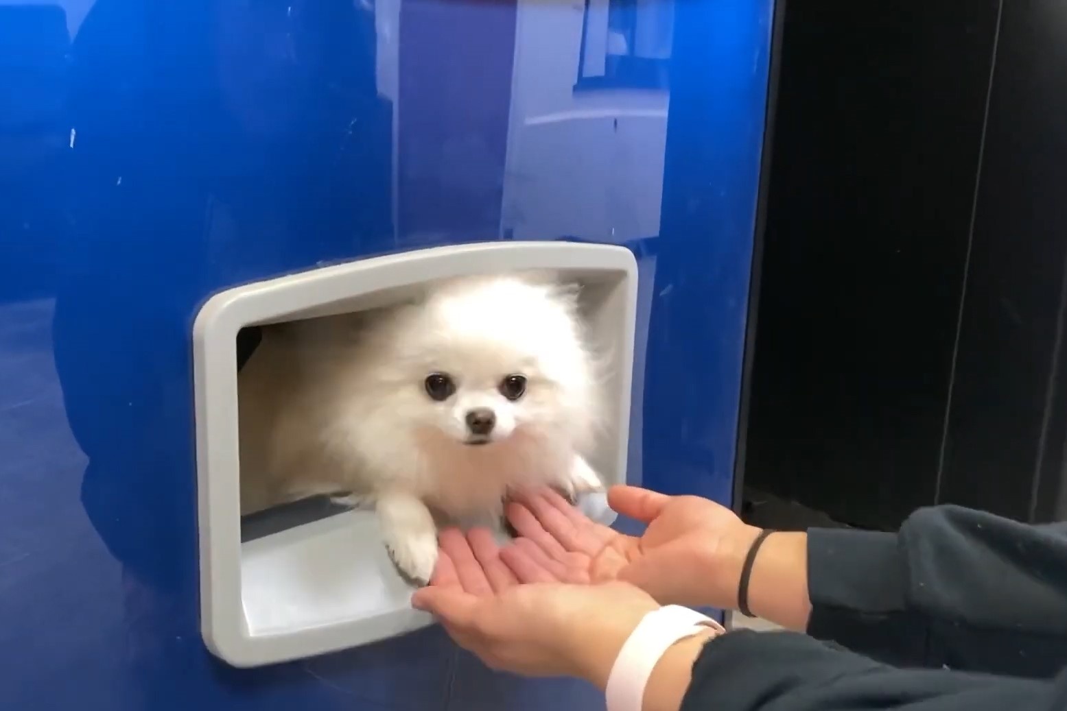 Nhung phat minh doc dao o Nhat Ban hinh anh