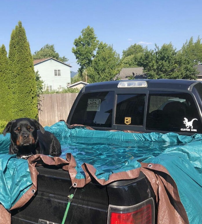 Con song nhiet khung khiep o Canada anh 2