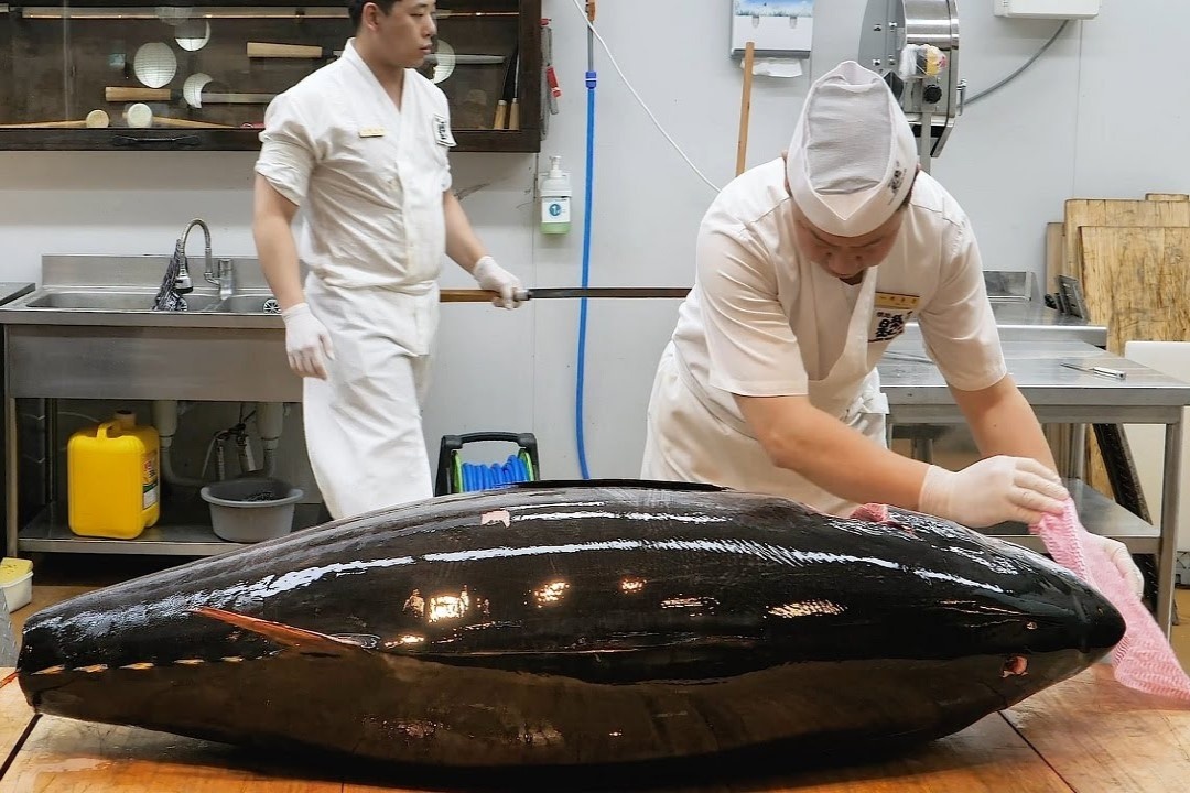 Dau bep xe thit ca ngu vay xanh nang 200 kg hinh anh