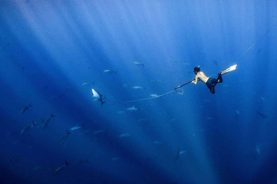 Anh dep ve dai duong anh 3