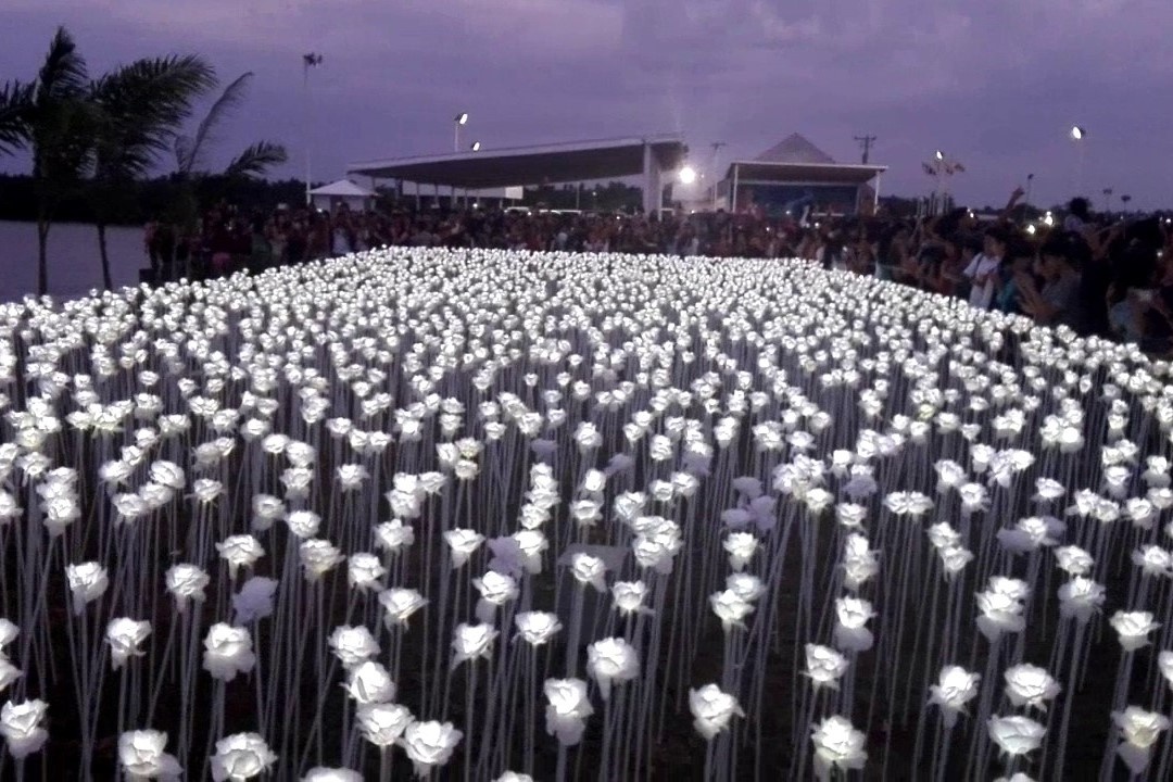 Tiem ca phe hon 10.000 bong hong phat sang o Philippines hinh anh