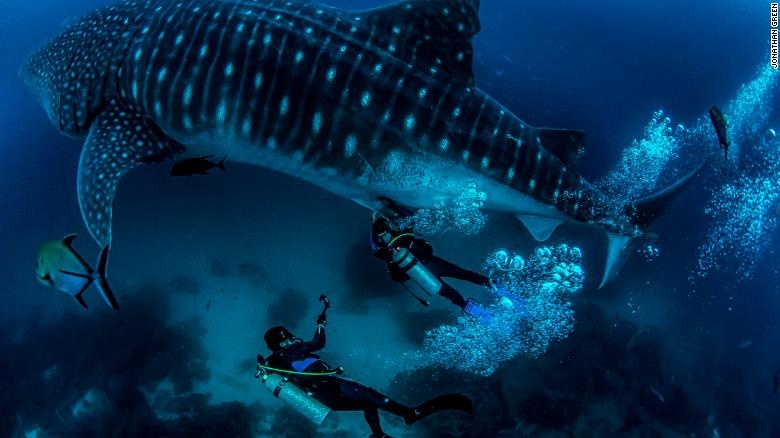 Sieu xa lo duoi day bien anh 11