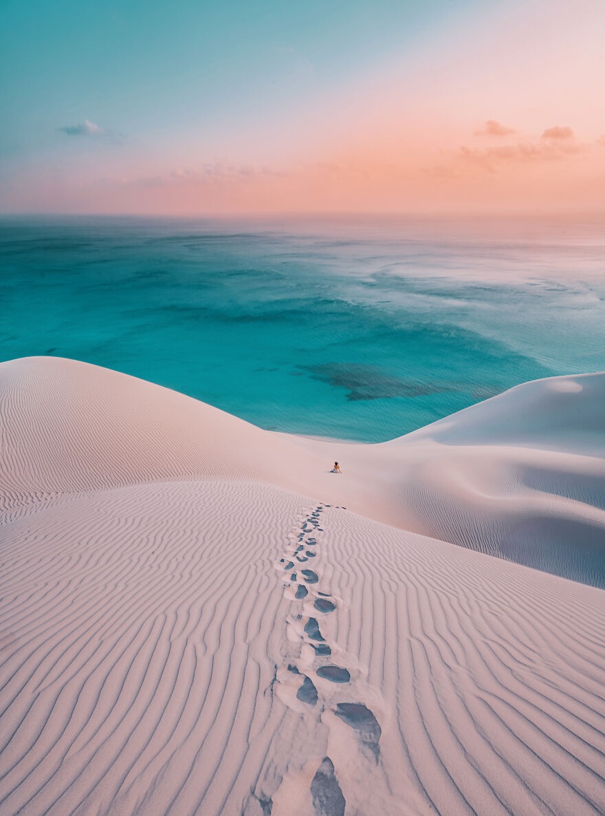 Socotra  ảnh 7 Socotra anh 7